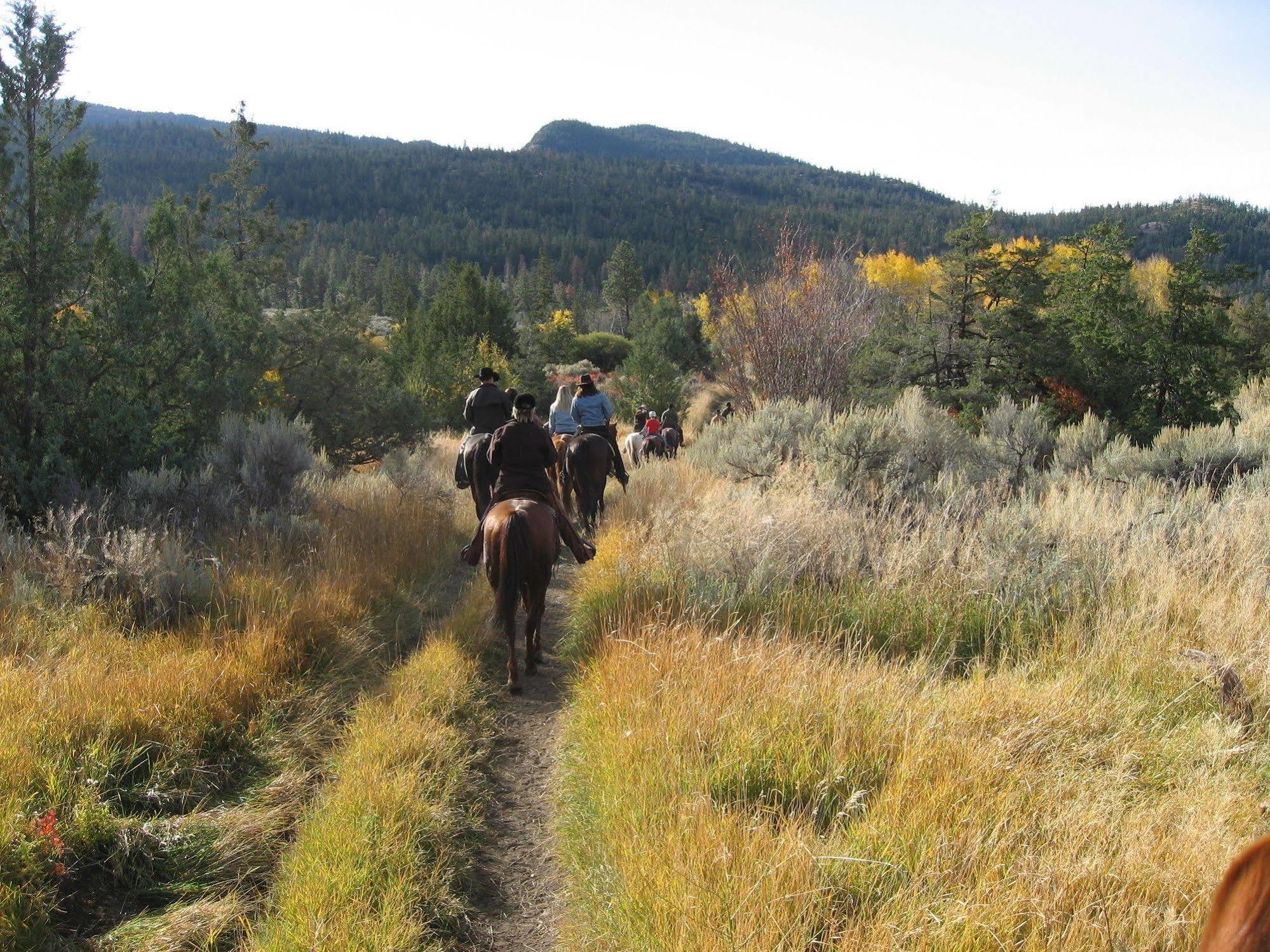 Sundance Guest Ranch Villa Ashcroft Buitenkant foto