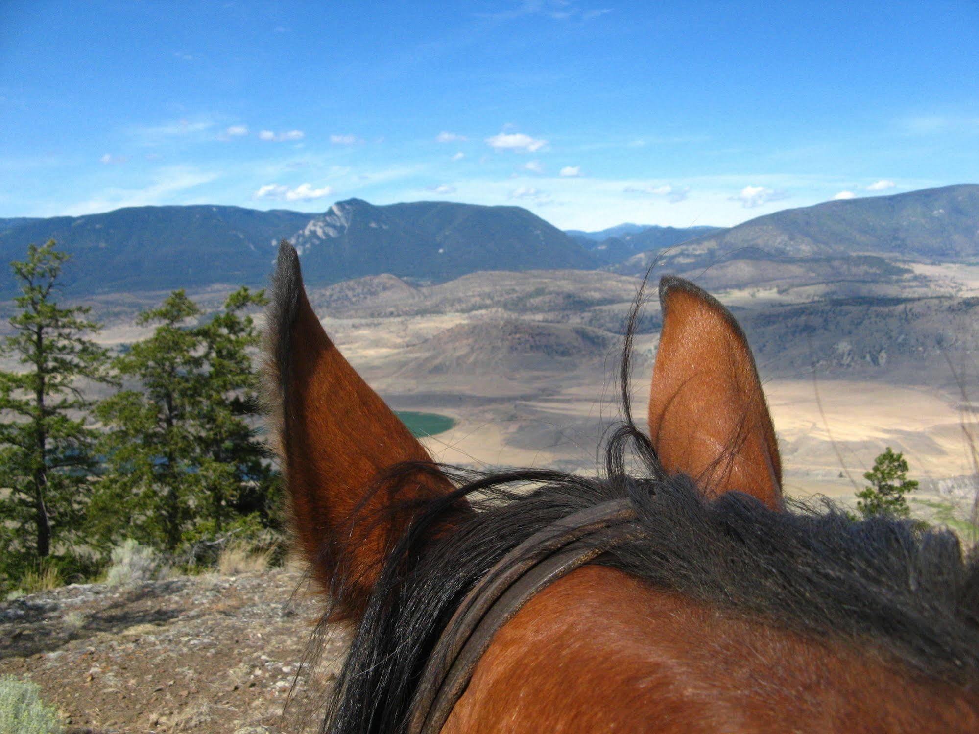 Sundance Guest Ranch Villa Ashcroft Buitenkant foto