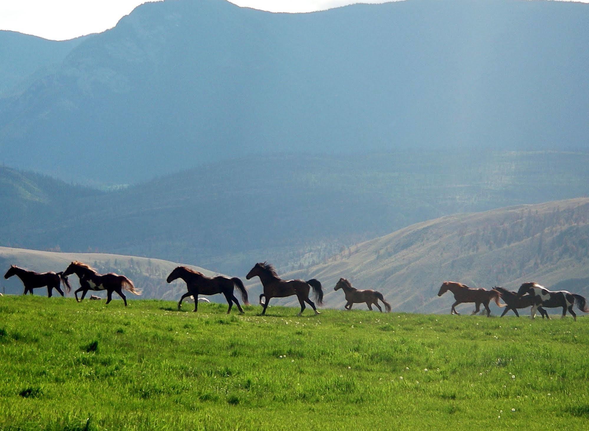 Sundance Guest Ranch Villa Ashcroft Buitenkant foto