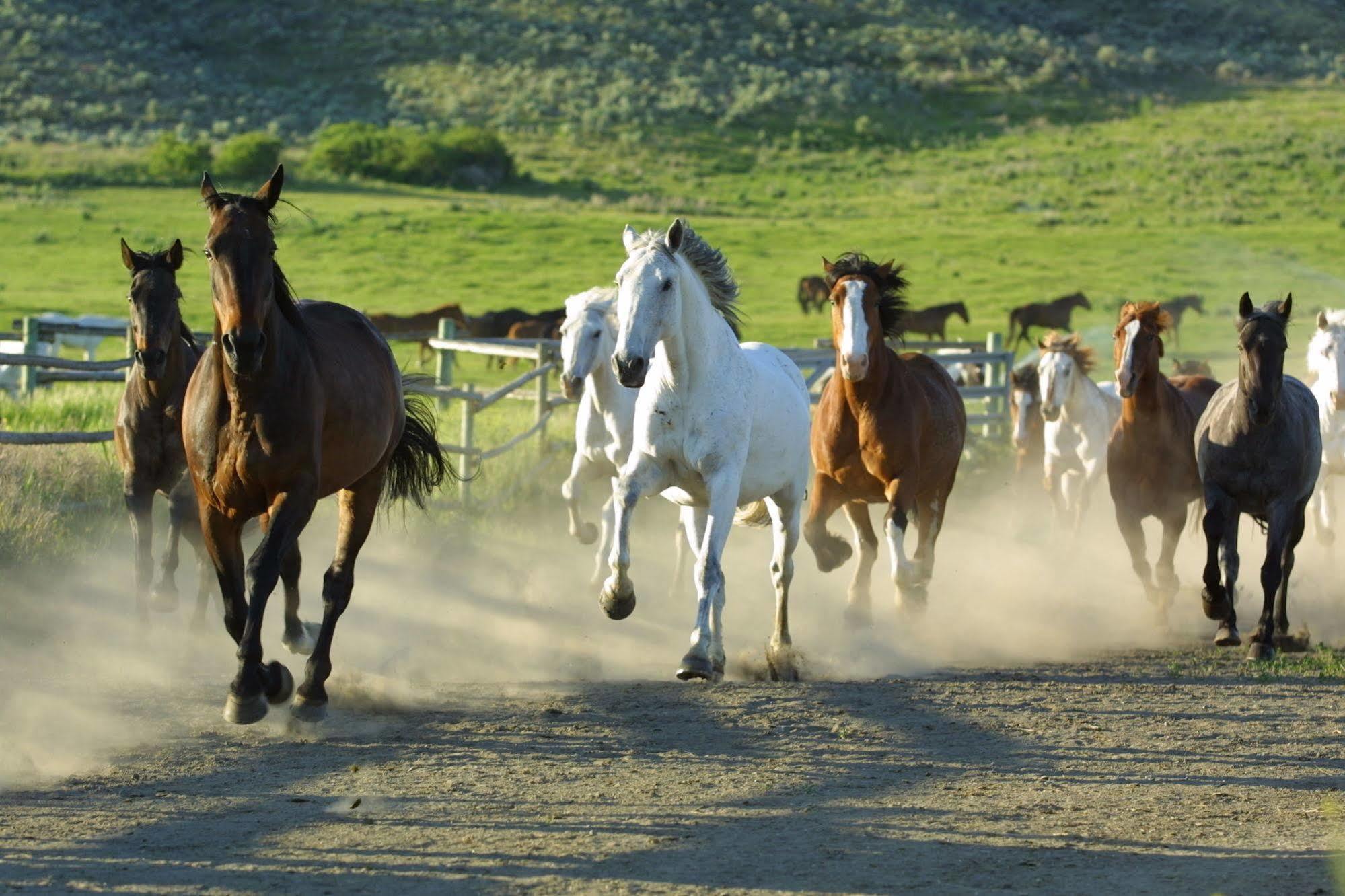 Sundance Guest Ranch Villa Ashcroft Buitenkant foto